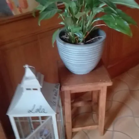 Chez Lola *